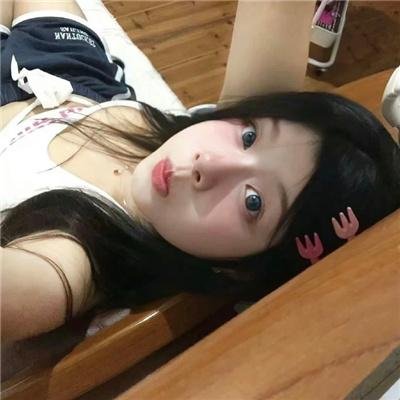送赞雪橇犬