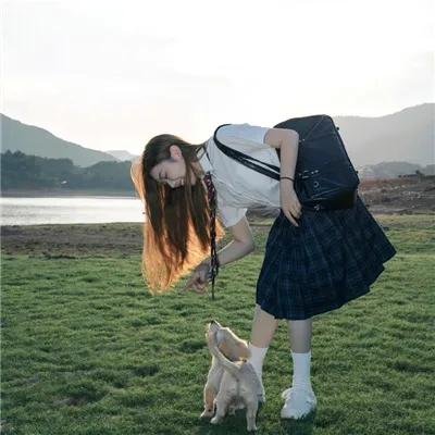 疯人计划